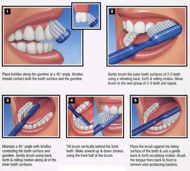 Five Tips for Brushing Your Teeth