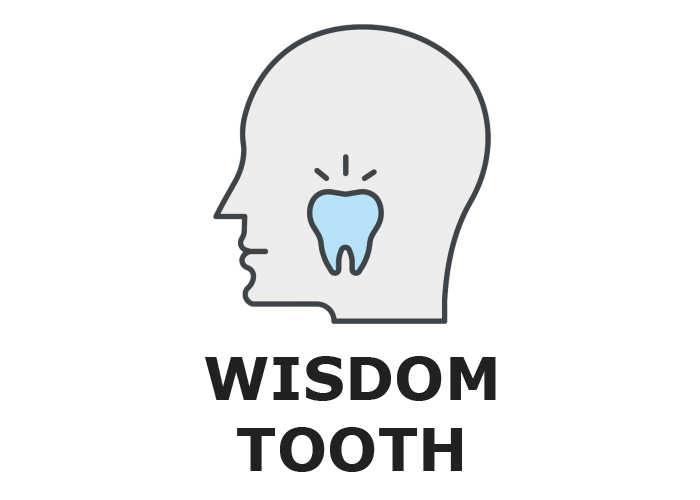 Wisdom Tooth